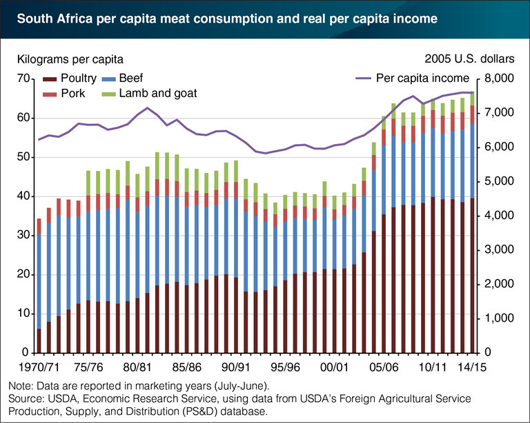 Real Meat Africa