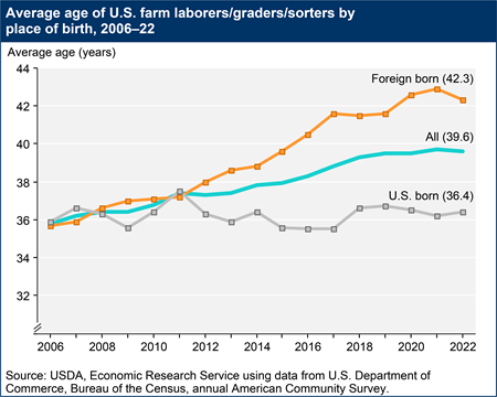 A line chart shows the average age of U.S. farm laborers/graders/sorters by place of birth from 2006 to 2022. The average age of foreign-born farmworkers rose by close to 7 years between 2006 and 2022.