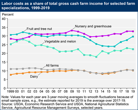 Labor costs as a share of total gross cash farm income for selected farm specializations, 1999-2019