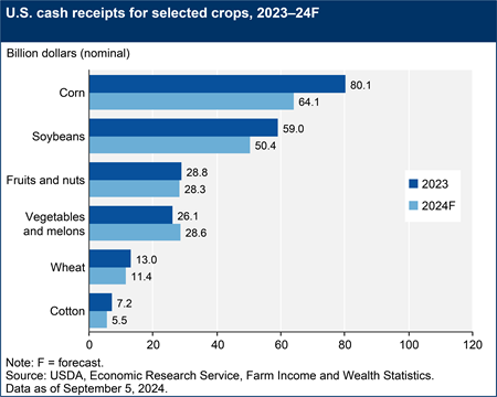 A bar chart shows U.S. cash receipts in nominal dollars for corn, soybeans, cotton, and wheat, for the years 2023 and a forecast for 2024.