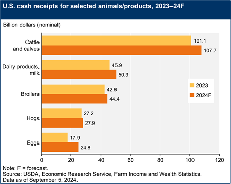 A bar chart shows U.S. cash receipts for cattle and calves, dairy products/milk, broilers, and hogs, for the years 2023 and a forecast for 2024.