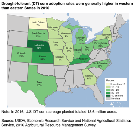 A map showing that adoption rates for drought-tolerant (DT) corn were generally higher in western than eastern States in 2016.