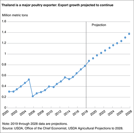 A line chart showing Thailand’s poultry exports from 1998 through the 2028 projection period