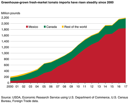 An area chart showing U.S. imports of greenhouse grown tomatoes by country