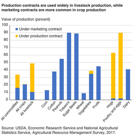 A bar chart shows that production contracts are used widely in livestock production, while marketing contracts are more common in crop production.
