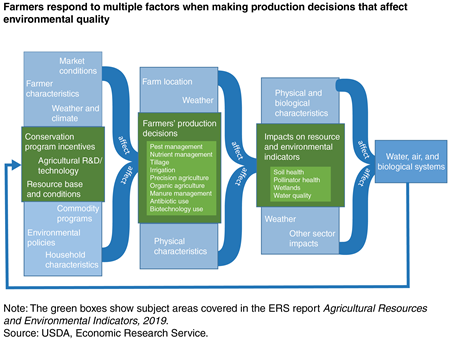 A flowchart shows how farmers respond to multiple factors when making production decisions that affect environmental quality.