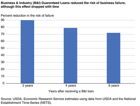 A bar chart shows that Business & Industry (B&I) Guaranteed Loans reduced the risk of business failure.