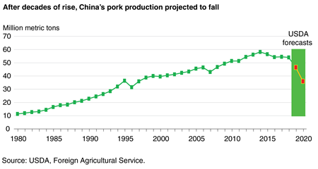 Line chart showing Chinese pork production from 1980 to 2020 (with 2019 and 2020 projected)