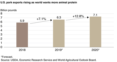 Bar chart showing U.S. pork exports from 2018 to 2020 (with 2019 and 2020 projected)