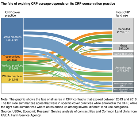 A graphic shows that the fate of expiring CRP acreage depended on its conservation practice, 2013-16