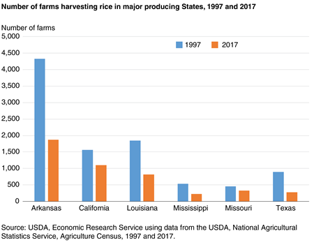 Bar chart showing the number of farms harvesting rice in major producing States, 1997 and 2017