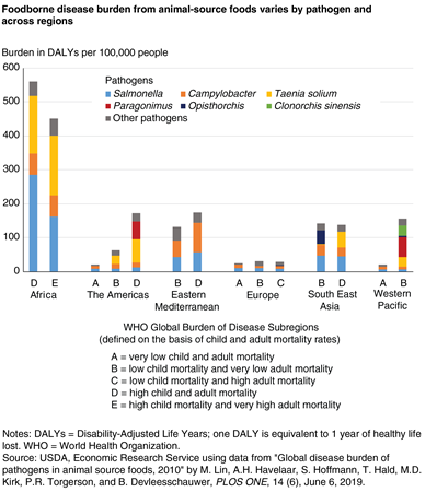 A bar chart showing the foodborne disease burden attributable to consumption of animal-source foods in 14 WHO global subregions by pathogen