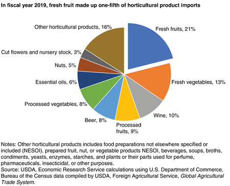 A pie chart showing each major horticultural group’s value of U.S. horticultural imports in 2019, with fresh fruit having the largest portion at 21 percent.