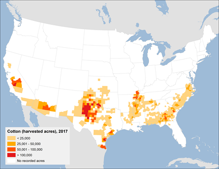 Map showing Cotton Acreage 2017