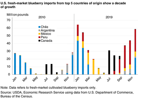 A stacked bar chart comparing the seasonality of blueberry import in million pounds from 2010 to 2020 by country, indicating more countries now ship blueberries to the United States and their shipping seasons are longer.