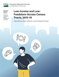 This is the cover image for the Low-Income and Low-Foodstore-Access Census Tracts, 2015–19 report.