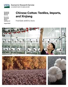 This is the cover image for the Chinese Cotton: Textiles, Imports, and Xinjiang report.