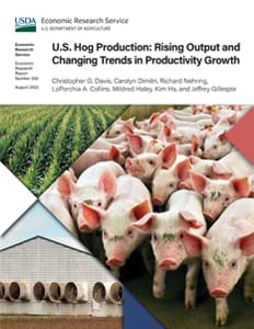 This is the cover image for the U.S. Hog Production: Rising Output and Changing Trends in Productivity Growth report.