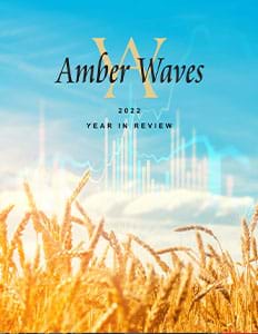 This is the cover image for the Amber Waves: 2022 Year in Review report.