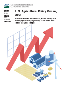 This is the cover image for the U.S. Agricultural Policy Review, 2021 report.